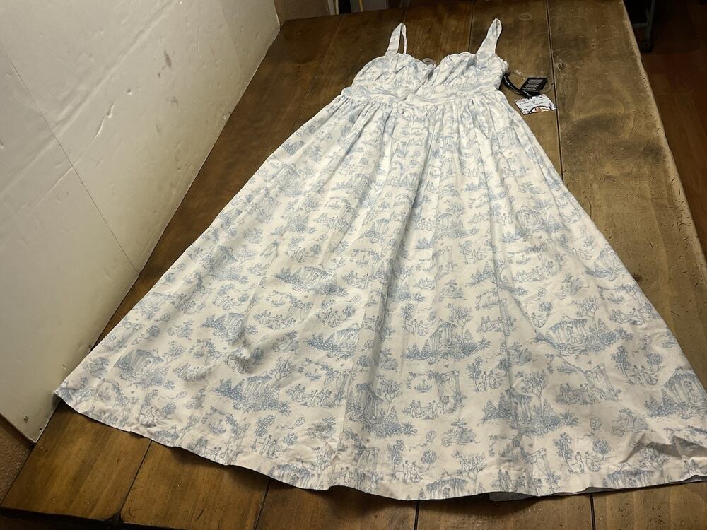 Bridgerton Celebrity Pink Dress S White Blue Basque Waist Midi Toile Coquette